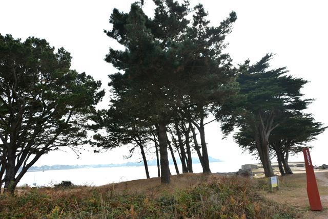 min 2016 10 14 morbihan 100